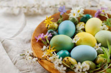 Happy Easter!  Stylish easter eggs and blooming spring flowers in wooden bowl on rustic table. Natural painted eggs and blossoms on linen fabric. Rustic easter still life clipart