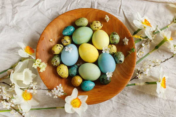 Rustic Easter Still Life Stylish Easter Eggs Blooming Spring Flowers — Stock fotografie