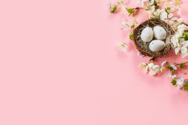 Yuvadaki zarif Paskalya yumurtaları ve fotokopi alanı olan pembe arka planda duran kiraz çiçekleri. Mutlu Paskalyalar! Tebrik kartı şablonu. Modern bahar bayramı afişi