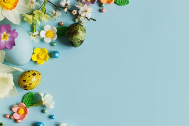 Stylish easter eggs, candy and blooming flowers on blue background flat lay. Happy Easter! Natural painted colorful eggs and spring blossom. Modern greeting card or banner, copy space