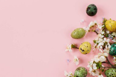 Stylish easter eggs and blooming flowers on pink background flat lay. Happy Easter! Natural painted colorful quail eggs and cherry blossom. Modern greeting card or banner, copy space