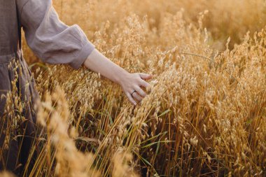 Akşam ışığında yulaf sapını tutan şık bir kadın, elini kapat. Kırsal yaşam. Kırsal kesimde hasat alanında dikilen keten elbiseli genç bir kadın. Atmosferik sükunet anı