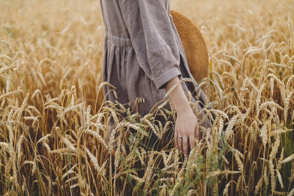 Woman hand holding wheat stems in field, cropped view. Grain harvest. Female in rustic linen dress touching ripe wheat ears in summer countryside. Rural life. Global hunger and food crisis