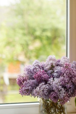 Güneşli odada pencere kenarında güzel leylak çiçekleri. Çiçekli yazlık ev dekoru. Kırsal evdeki vazoda pembe ve mor leylaklar.