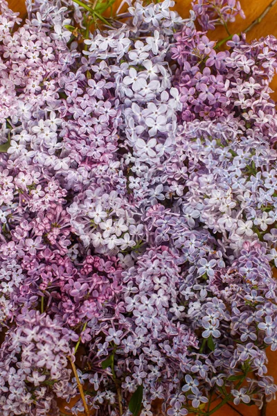 Bunga Lilac Indah Rata Berbaring Latar Belakang Kayu Pink Dan — Stok Foto