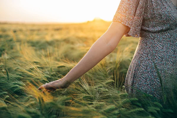 Wanita Tangan Menyentuh Barley Telinga Menutup Bawah Sinar Matahari Terbenam — Stok Foto