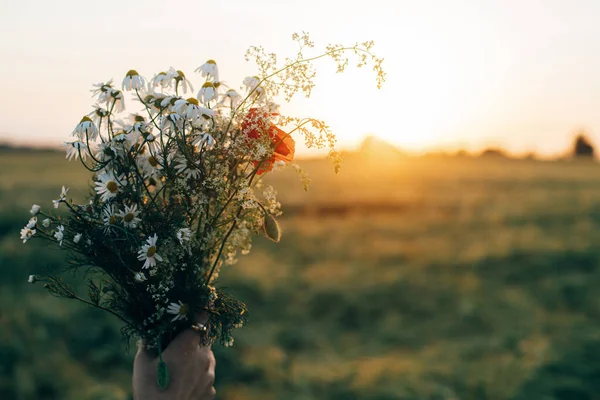 美しい野の花の花束を女性の手に大麦のフィールドで日没の光の中で閉じます 夕方の田舎でリラックスして花を集めるスタイリッシュな女性 大気穏やかな瞬間 — ストック写真