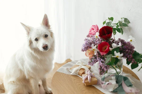 Cute Dog Sitting Stylish Gift Box Bouquet Wooden Table Modern — Stock Photo, Image