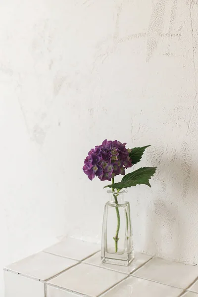 Stilvolle Lila Hortensie Auf Fliesenregal Auf Rustikalem Wandhintergrund Schöne Blumen — Stockfoto