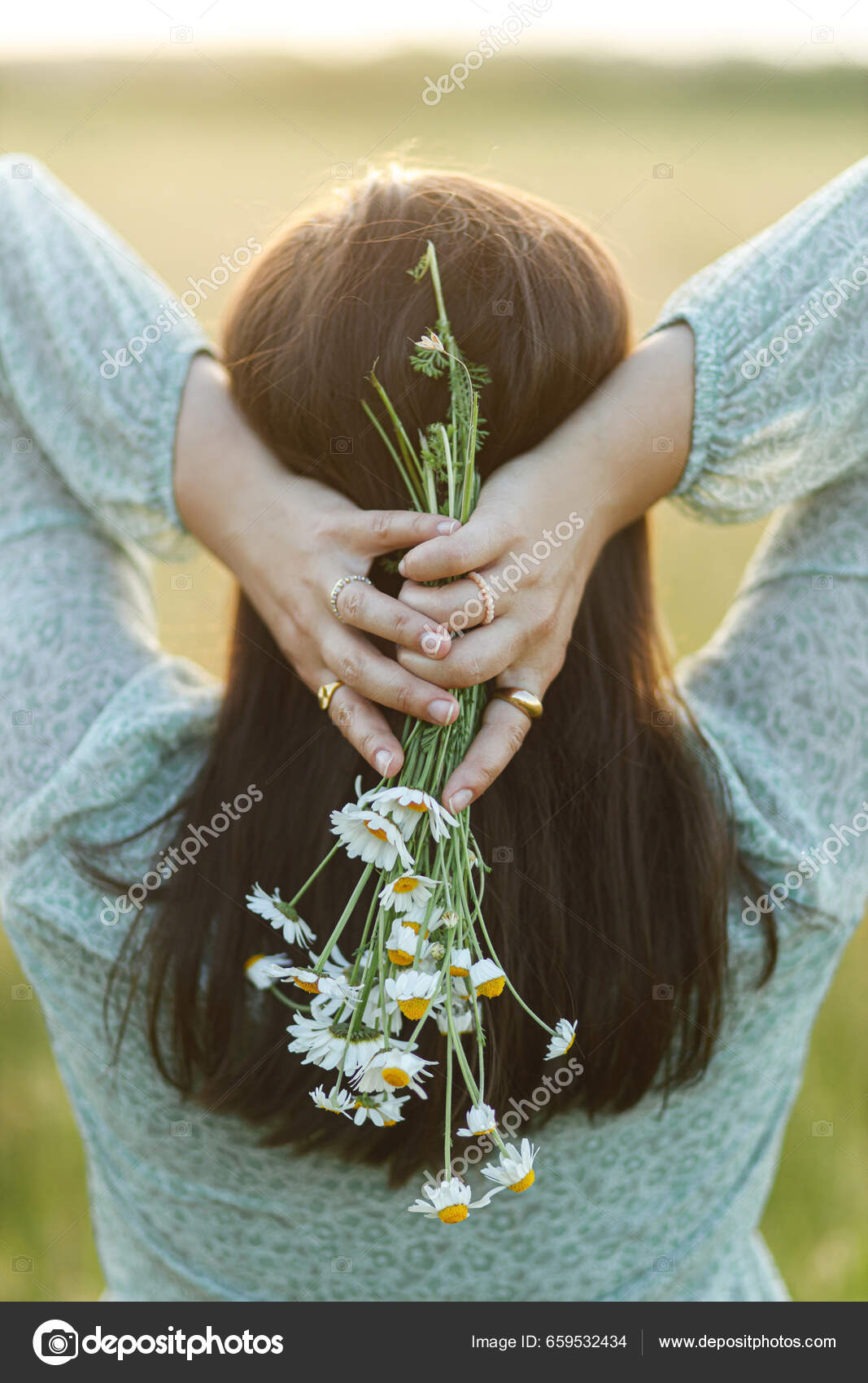 Ramo Margaritas Mano Mujer Campo Verano Por Noche Cerca Joven — Foto de  stock #659532434 © Sonyachny, image size:1067x1700