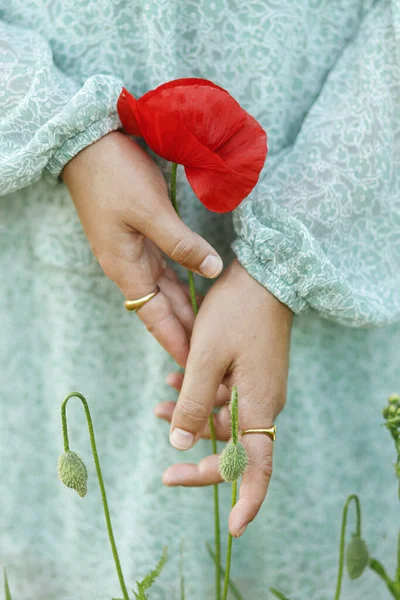 Woman Hands Holding Poppy Evening Summer Field Close Atmospheric Moment — Stock Photo, Image