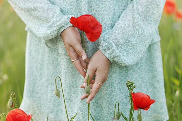 Kobiece Dłonie Trzymające Maku Wieczornym Letnim Polu Zbliżenie Moment Atmosferyczny — Zdjęcie stockowe