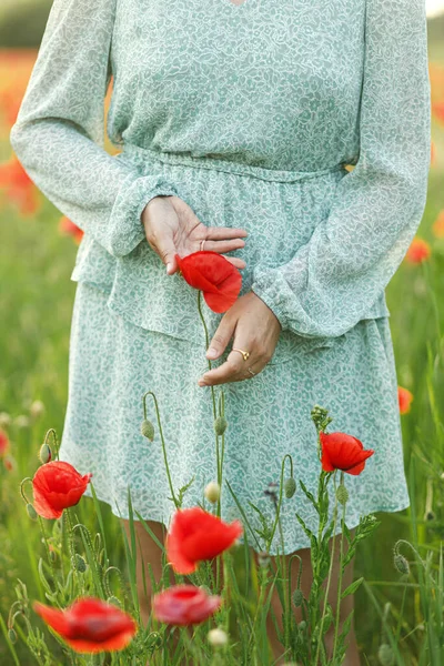 Woman Hands Holding Poppy Evening Summer Field Close Atmospheric Moment — Stock Photo, Image