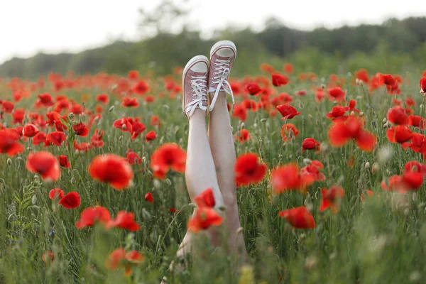 Woman legs in pink sneakers in poppy field in evening summer countryside, close up. Young female relaxing among wildflowers in meadow. Carefree and summer vacation, funny moment
