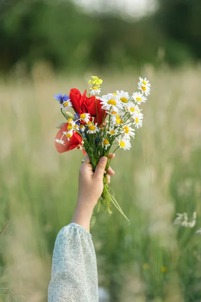 Žena Ruce Drží Kytice Divokých Květin Poli Večerní Letní Krajině — Stock fotografie