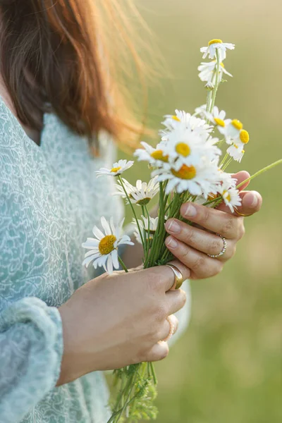 stock image Daisy bouquet in woman hand in evening summer countryside, close up. Young female gathering wildflowers in meadow. Carefree atmospheric moment