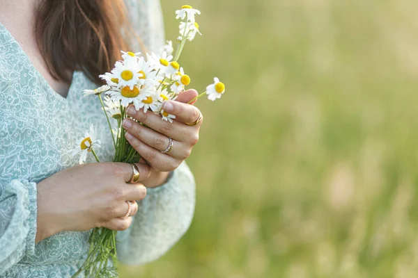 stock image Daisy bouquet in woman hand in evening summer countryside, close up. Young female gathering wildflowers in meadow. Carefree atmospheric moment