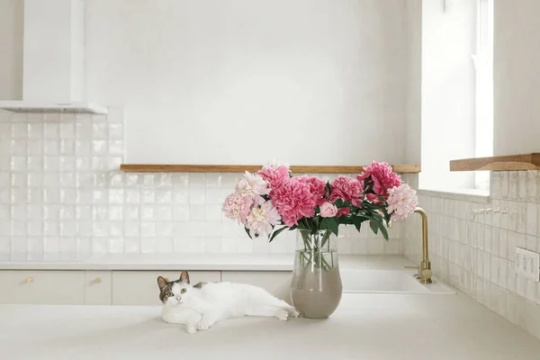 新しいスカンディナヴィアの家に真鍮の詳細とスタイリッシュな白いキッチンを背景に花崗岩のカウンターの花瓶の美しい牡丹に座ってかわいい猫 ペットとモダンなキッチンインテリア — ストック写真