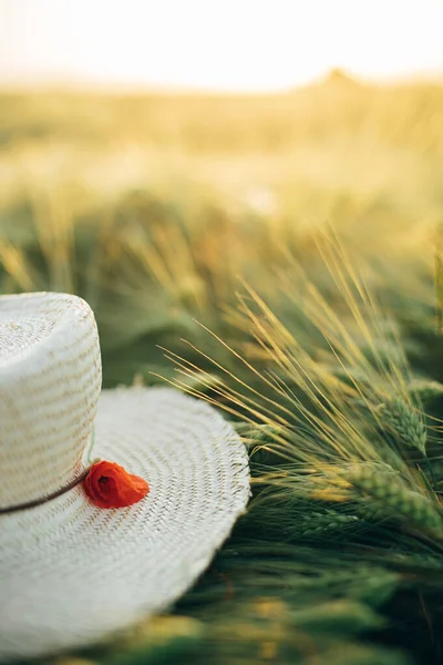 여름의 지푸라기 모자와 양귀비를 밭에서 빛으로 보리에 발랐다 모자는 여름철 — 스톡 사진