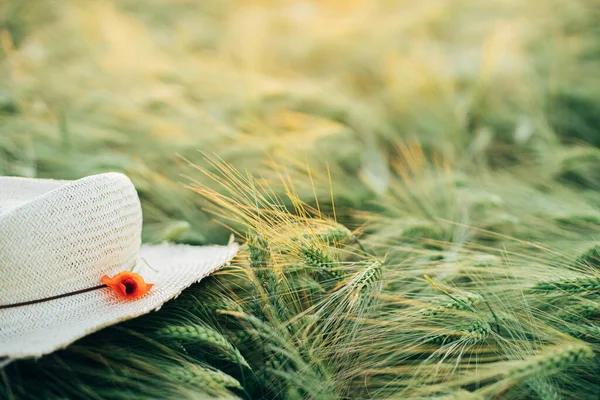 Rustic Straw Hat Red Poppy Barley Ears Evening Field Close — Stock Photo, Image