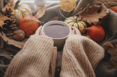 Cozy Autumn. Hands in sweater holding warm cup of tea with stylish pumpkins, fall leaves, lights on brown scarf on windowsill. Autumn hygge, fall home decor. Happy Thanksgiving