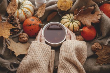 Cozy Autumn. Hands in sweater holding warm cup of tea flat lay with stylish pumpkins, fall leaves, lights on brown scarf on windowsill. Autumn hygge, fall home decor. Happy Thanksgiving