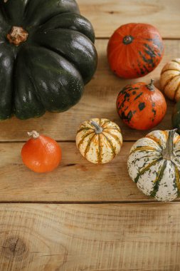 Pumpkins on rustic wooden table in house. Cozy Autumn, fall home decor. Happy Thanksgiving. Harvest and natural squashes concept