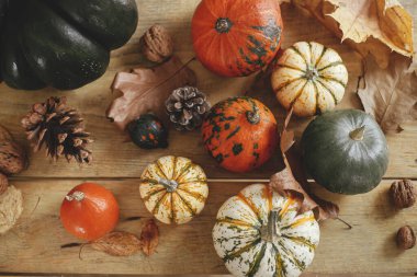 Autumn flat lay. Pumpkins, autumn leaves, nuts and cone on rustic wooden table in farmhouse. Cozy autumn home decor. Happy Thanksgiving. Harvest and natural squashes