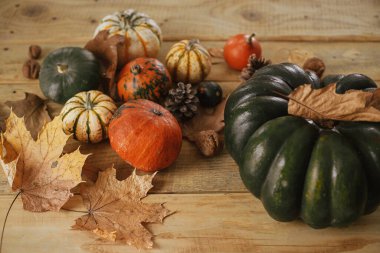 Pumpkins, autumn leaves, nuts and cone on rustic wooden table in farmhouse. Cozy autumn home decor. Happy Thanksgiving. Harvest and natural squashes. Hello Fall!