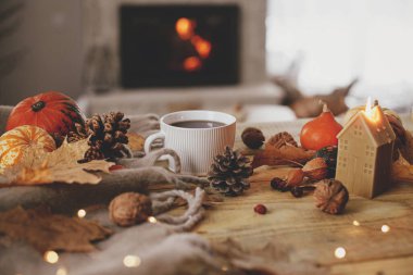 Warm cup of tea, pumpkins, autumn leaves, cones, cozy scarf and lights on rustic wooden table in farmhouse. Fall in rural home. Happy Thanksgiving. Fall hygge still life, copy space