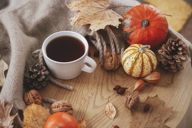 Cozy autumn. Warm cup of tea, pumpkins, autumn leaves, cones, cozy scarf on rustic wooden table in farmhouse. Fall in rural home. Happy Thanksgiving. Fall hygge still life, banner