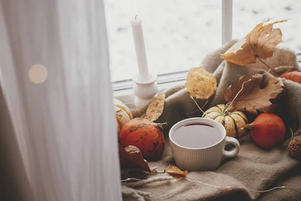 Cozy Autumn Warm Cup Tea Pumpkins Fall Leaves Candle Lights — Stock Photo, Image
