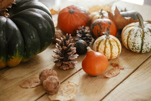 Hello Fall Pumpkins Autumn Leaves Nuts Cone Rustic Wooden Table — Stock Photo, Image