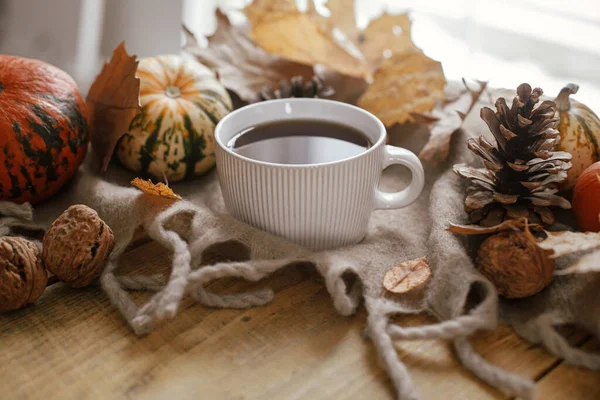 Warm Cup Tea Pumpkins Autumn Leaves Cones Cozy Scarf Rustic — Stock fotografie