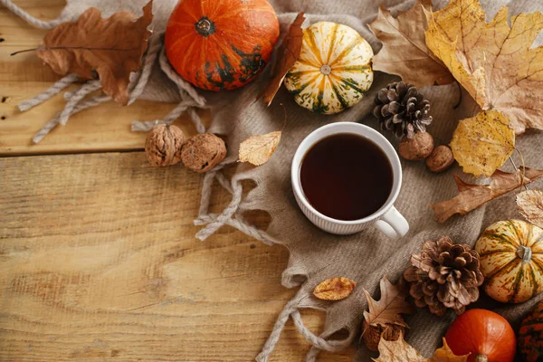 Autumn Flat Lay Warm Cup Tea Pumpkins Fall Leaves Cozy — Stok fotoğraf