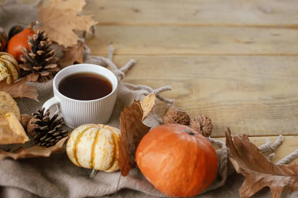 Autumn Rural Banner Warm Cup Tea Pumpkins Fall Leaves Cozy — Stock fotografie