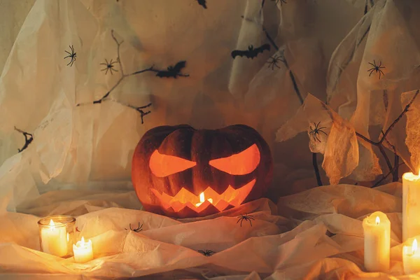 Feliz Halloween Jack Linterna Calabaza Tallada Telaraña Fantasma Murciélagos Velas — Foto de Stock
