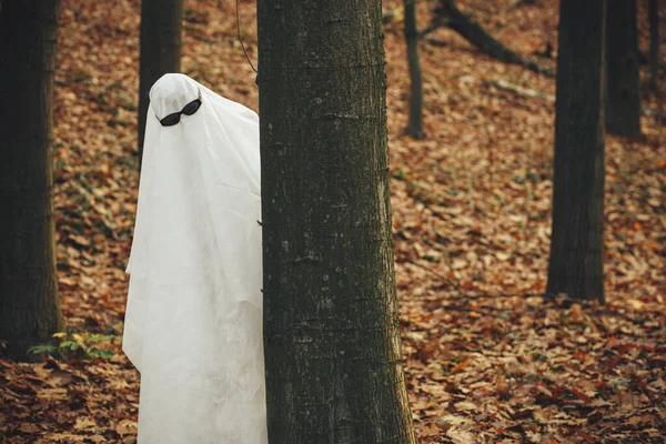 Mutlu Cadılar Bayramı Huysuz Bir Sonbahar Ormanında Siyah Gözlüklü Komik — Stok fotoğraf
