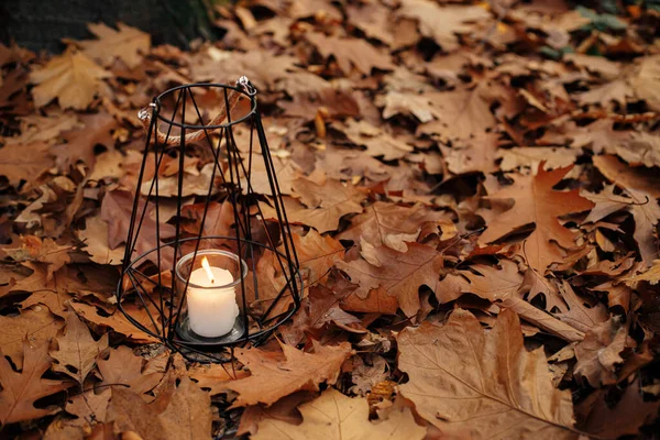 Современный Минималистский Черный Фонарь Горящей Свечой Фоне Осенних Листьев Лесу — стоковое фото