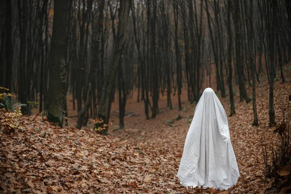 Mutlu Cadılar Bayramı Huysuz Karanlık Sonbahar Ormanında Duran Ürkütücü Hayalet — Stok fotoğraf