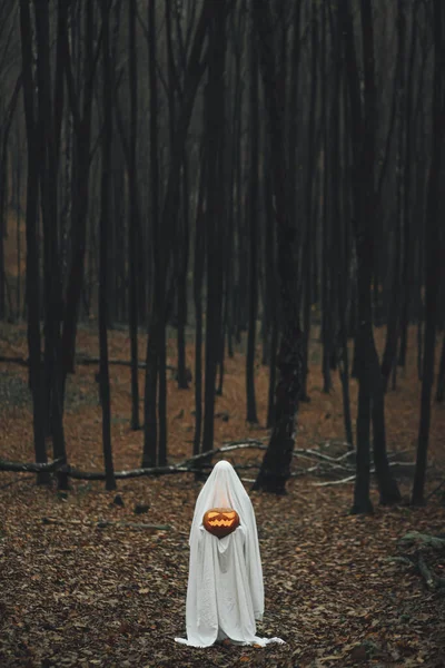 Mutlu Cadılar Bayramı Karanlık Sonbahar Ormanlarında Parlayan Bir Fener Tutan — Stok fotoğraf