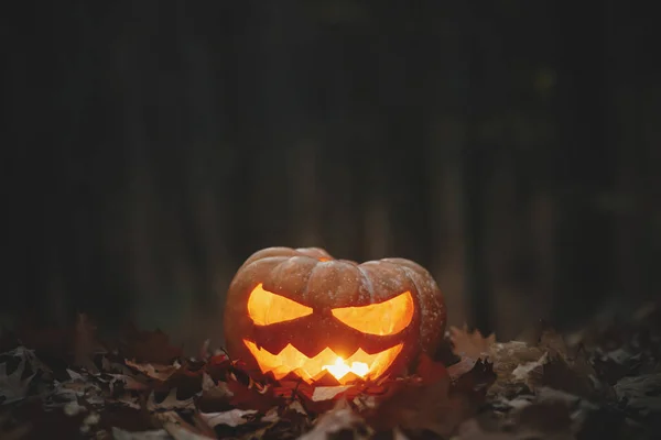 Feliz Halloween Spooky Brillante Jack Linterna Las Hojas Otoño Bosque — Foto de Stock
