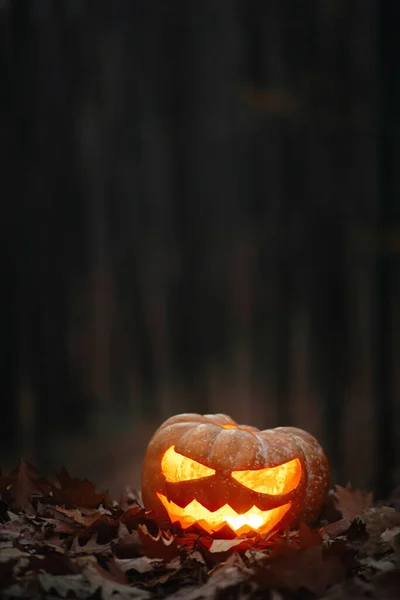 Gespenstisch Leuchtende Jack Laterne Auf Herbstblättern Stimmungsvollen Dunklen Wald Frohes — Stockfoto