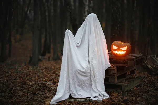 Kísérteties Szellem Izzó Jack Lámpással Szeszélyes Sötét Őszi Erdőben Fehér — Stock Fotó