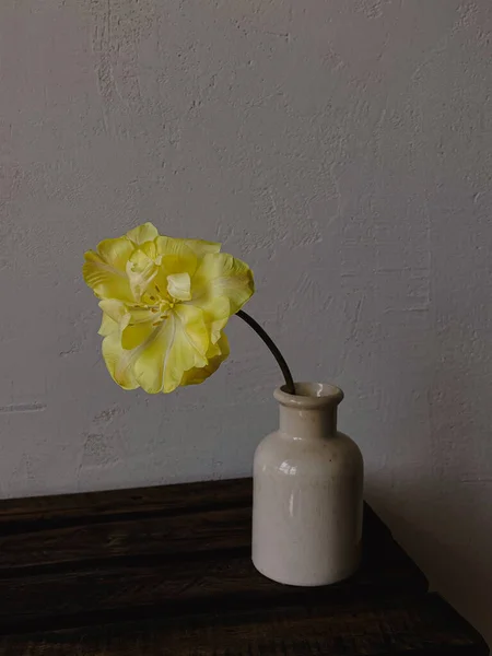 Bunga Tulip Kuning Yang Indah Vas Dengan Latar Belakang Murung — Stok Foto