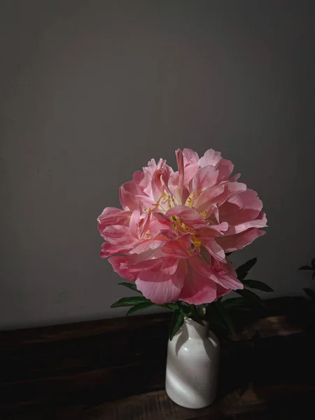 Stylish flower still life, moody artistic composition. Beautiful pink peony in vase in sunlight on rustic background. Floral vertical wallpaper