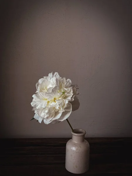 Stylish flower still life, moody artistic composition. Beautiful white peony in vase in sunlight on rustic background. Floral vertical wallpaper