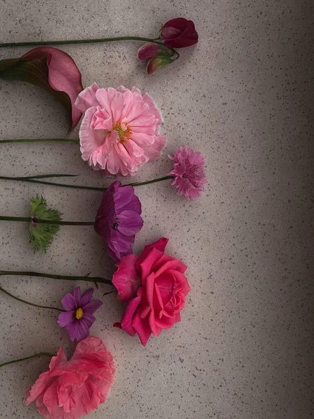 Hermosa Rosa Rosa Cosmos Amapola Guisante Dulce Aciano Plano Yacía —  Fotos de Stock