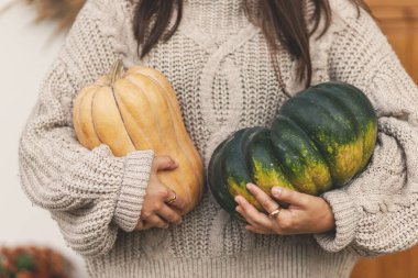 Büyük sonbahar balkabakları ev dekorasyonu için kapanıyor. Örgü kazaklı bir kadın çiftlik evinin ön kapısını balkabağıyla süslüyor. Sonbahar düzenlemesi