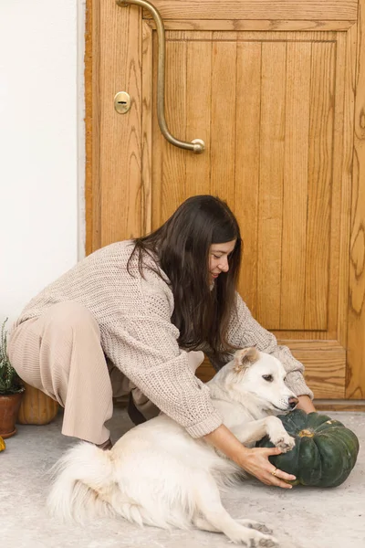 Mujer Feliz Suéter Punto Jugando Con Perro Lindo Entrada Casa —  Fotos de Stock